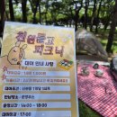 상무시민공원 | 광주 서구 상무시민공원 노올마당, 도심 속 이색 힐링 명소(ft. 천원 피크닉)
