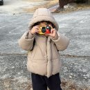 진주코닥
