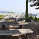 아라메길 (삼길나루길-벚꽃길) | 서산시도보여행 삼길 나룻길 삼길포항이 내려다보이는 정자