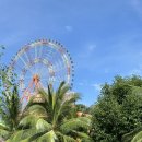 안나커피 이미지