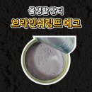 물생활장터 브라인쉬림프 에그 공구 후기