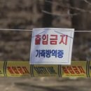 오리한마리 이미지