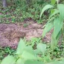 중광농장 이미지