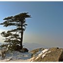 하단동1043 | 조선국의 산 그리고 강