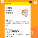 우리펫 | 현대해상 굿앤굿 우리펫보험 내돈내산 슬개골 수술 청구 후기