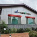 작은나무 큰숲도서관 이미지