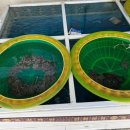 낙지명가 이미지