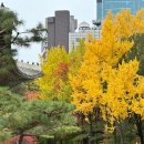 독앤걸즈 | 2025.11 (1)