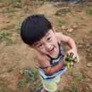 영준농장 이미지