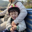 통영루지 | 통영 아이랑 가볼만한곳 | 스카이라인 루지 통영 후기