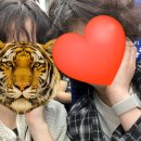 평화맨션아파트 | [여행] 홍콩/마카오 ******-******