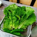 영산강오리탕 이미지