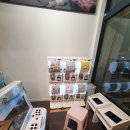 시흥버스터미널 | 정왕동맛집 명륜진사갈비 시흥정왕점 고기와 장어를 푸짐하게