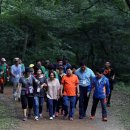 식장산 숲길 이미지