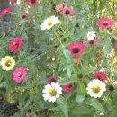 베다니농장 이미지