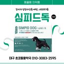 초코약국 이미지