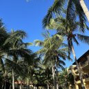 비엔헬스 | 호치민 여행 Day3 :: 판다누스 리조트 조식&amp;요가 | 호치민 라 벨라 사이공 호텔 - 벱꾸온 - 부이비엔 거리