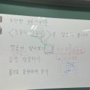 콩콩노래빵