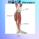 플러팅테라피 이미지