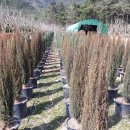 용기농장 이미지