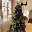 왕궁방앗간 | 헝가리 부다페스트 근교 여행 2편 | 괴될뢰 궁전 정원 카페 크리스마스 기념품샵 추천