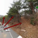 2017년 어린나무가꾸기사업 이미지