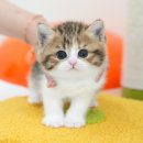 청도메디컬 이미지