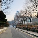봉사단 면접/한국국제협력개발단 봉사면접/코이카 면접후기/코이카 태권도교육 면접후기/대외활동 봉사면접