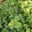 크로버유통 이미지