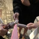 청해 회 수산 이미지