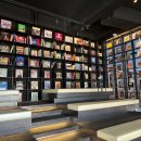 데스파시토 | [안성맛집,안성카페] 분위기좋은 카페 데스파시토, 캠핑식당 숯숯바베큐 후기