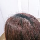 뿌리 | 동탄 염색 전문 미용실 오롯이미 염색하다 반송동 뿌리염색 후기