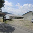 옥천면사무소 이미지