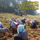 상우농산 이미지