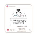 데스티니 퍼피 이미지