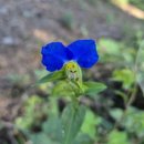 신흑7통마을회관 이미지