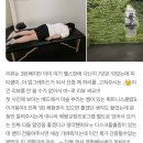 O2 다이어트 휘트니스클럽 | 영통pt 어디서 받아야 할까 ? 실제 회원 후기로 보는 휘트니스클럽s영통점