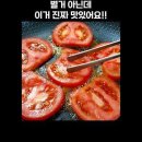 토마토+치즈/김소형H 이미지