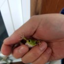 무지개다리화장실 이미지