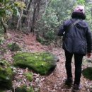 서장하 농장 이미지