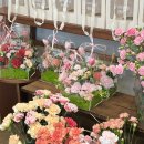 사림동133 이미지