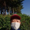 반월공원 이미지