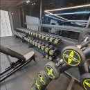 지니월드짐 이미지