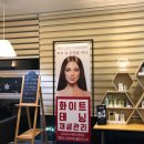 해리에스테틱