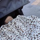 김도현소아청소년과의원 이미지