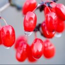 다사랑의원 이미지