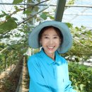 J농장 이미지