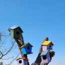 에코뜰 이미지