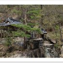 관문초등 이미지