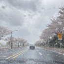 [경주여행 당일치기코스] 금산재칼국수 - 스컹크웍스 - 탁월생막걸리 - 대몽재막걸리
